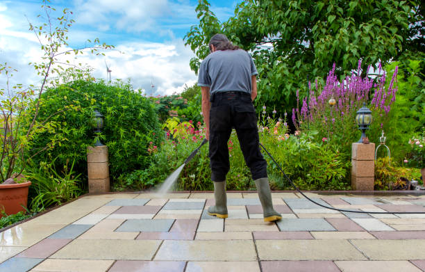 Best Pool Deck Cleaning in Cascade Chipita Park, CO
