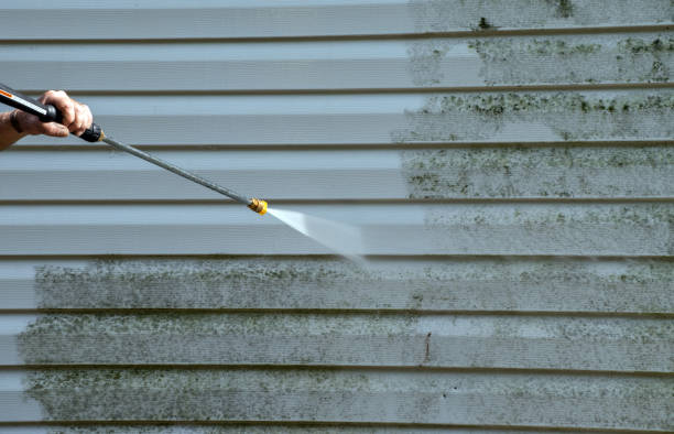 Best Vinyl Siding Pressure Washing in Cascade Chipita Park, CO