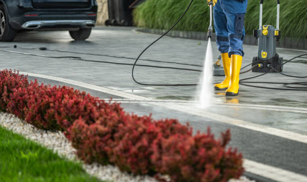 Best Deck and Patio Pressure Washing in Cascade Chipita Park, CO